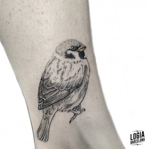 tatuaje_tobillo_pajaro_logia_barcelona_paula_soria